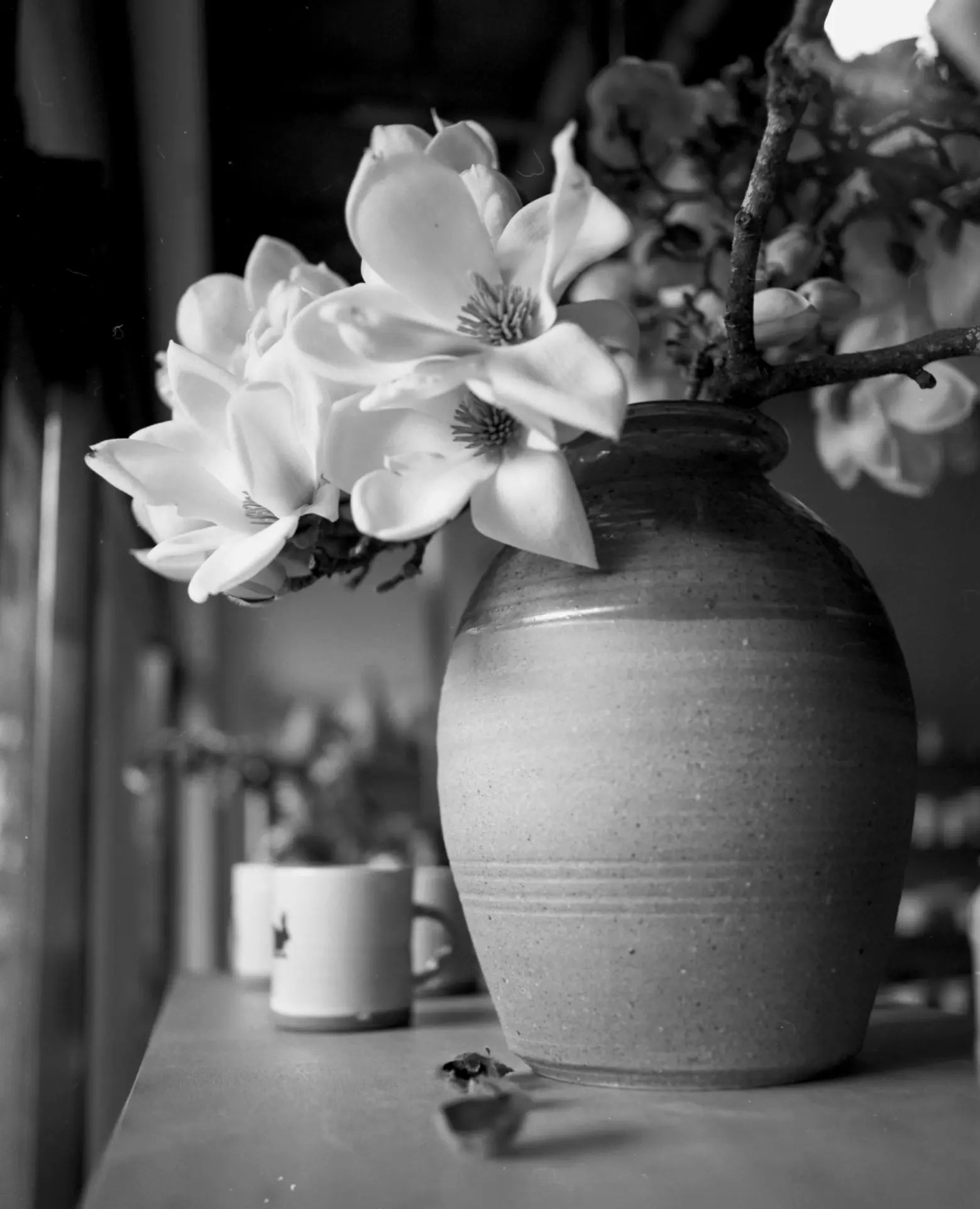 Large Vases