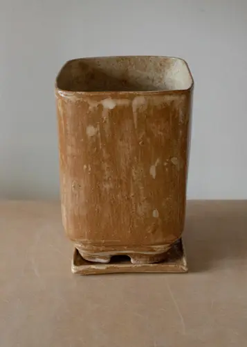 Plant Pot